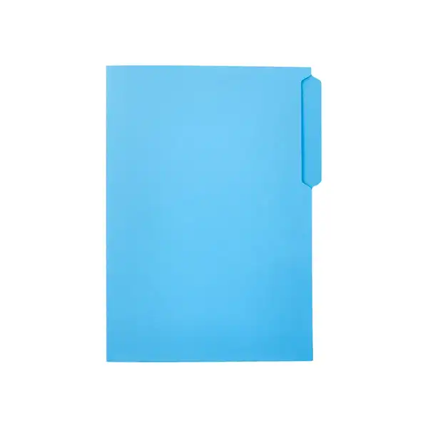 SUBCARPETA CARTULINA LIDERPAPEL Fº PESTAÑA SUPERIOR 240G/M2 AZUL SC45 166335 SUBCARPETA CARTULINA LIDERPAPEL Fº PESTAÑA SUPERIOR 240G/M2 AZUL SC45 166335