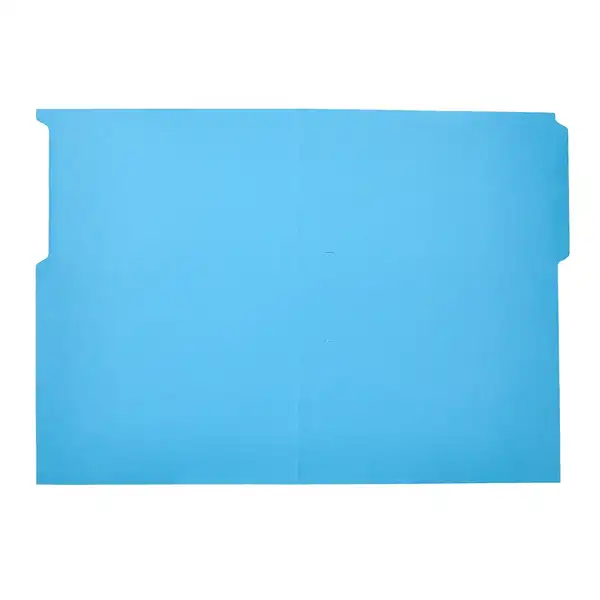 SUBCARPETA CARTULINA LIDERPAPEL Fº PESTAÑA SUPERIOR 240G/M2 AZUL SC45 166335 SUBCARPETA CARTULINA LIDERPAPEL Fº PESTAÑA SUPERIOR 240G/M2 AZUL SC45 166335