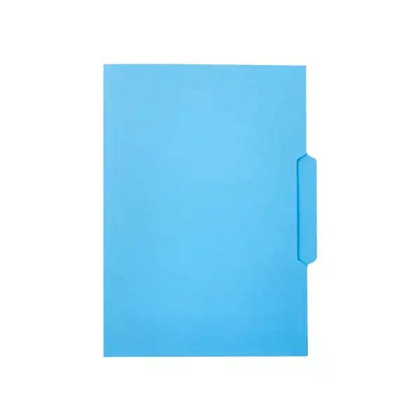 SUBCARPETA CARTULINA LIDERPAPEL Fº PESTAÑA CENTRAL 240G/M2 AZUL SC46 166336 SUBCARPETA CARTULINA LIDERPAPEL Fº PESTAÑA CENTRAL 240G/M2 AZUL SC46 166336