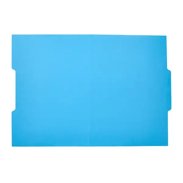 SUBCARPETA CARTULINA LIDERPAPEL Fº PESTAÑA CENTRAL 240G/M2 AZUL SC46 166336 SUBCARPETA CARTULINA LIDERPAPEL Fº PESTAÑA CENTRAL 240G/M2 AZUL SC46 166336