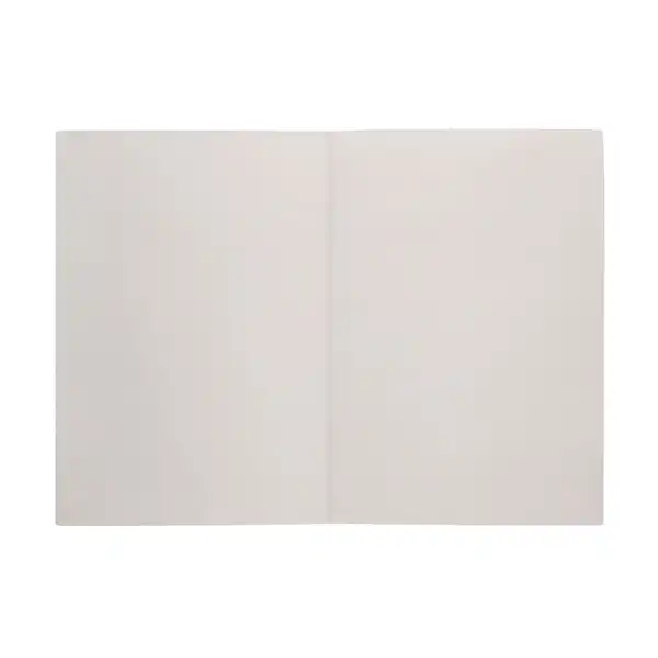 SUBCARPETA LIDERPAPEL Fº KRAFT INTERIOR BLANCO 240G/M2 SC24 23657