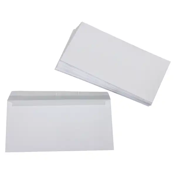 SOBRE LIDERPAPEL DL+ BOLSA DE 10 115X225 MM SB01 23728 SOBRE LIDERPAPEL DL+ BOLSA DE 10 115X225 MM SB01 23728