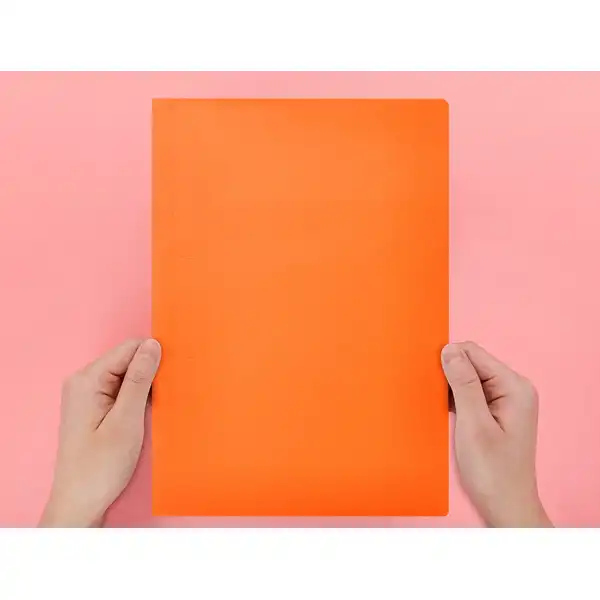 SUBCARPETA LIDERPAPEL A4 NARANJA INTENSO 180G/M2 SC16 29028 SUBCARPETA LIDERPAPEL A4 NARANJA INTENSO 180G/M2 SC16 29028