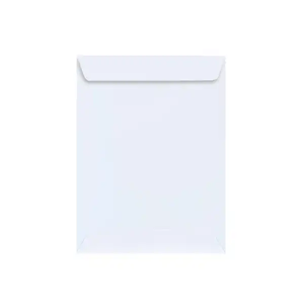 SOBRE LIDERPAPEL BOLSA Nº 16 BLANCO C5 162x229 250 UDS SB37 33309 SOBRE LIDERPAPEL BOLSA Nº 16 BLANCO C5 162x229 250 UDS SB37 33309