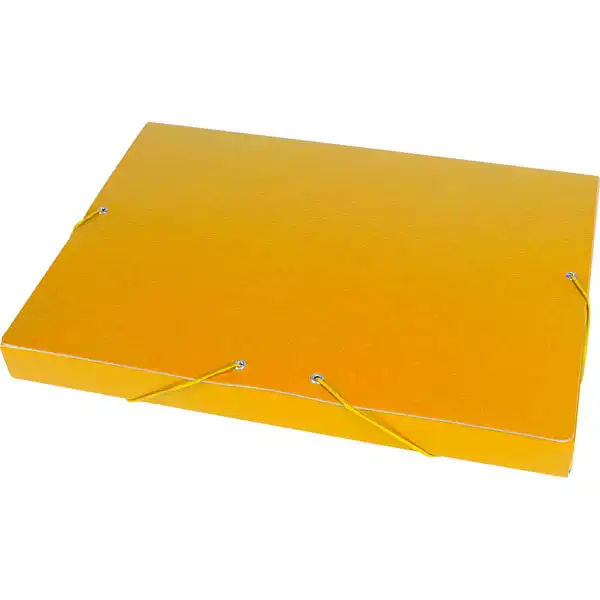 CAJA DE PROYECTOS LOMO 30MM CARTON GOFRADO AMARILLO LIDERPAPEL 37346 CAJA DE PROYECTOS LOMO 30MM CARTON GOFRADO AMARILLO LIDERPAPEL 37346