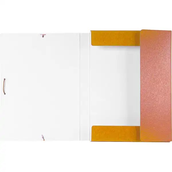 CAJA DE PROYECTOS LOMO 30MM CARTON GOFRADO AMARILLO LIDERPAPEL 37346 CAJA DE PROYECTOS LOMO 30MM CARTON GOFRADO AMARILLO LIDERPAPEL 37346
