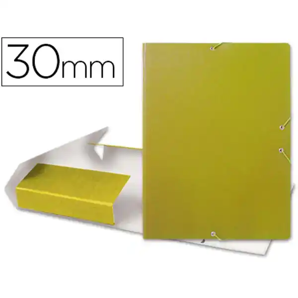 CAJA DE PROYECTOS LOMO 30MM CARTON GOFRADO AMARILLO LIDERPAPEL 37346 CAJA DE PROYECTOS LOMO 30MM CARTON GOFRADO AMARILLO LIDERPAPEL 37346