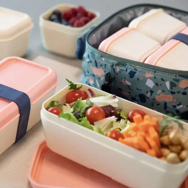 SANDWICHERA FIAMBRERA RECTANGULAR 0,75LT COLECCION 430 SINCE 1918 TAPA ROSA MILAN 085110P SANDWICHERA FIAMBRERA RECTANGULAR 0,75LT COLECCION 430 SINCE 1918 TAPA ROSA MILAN 085110P