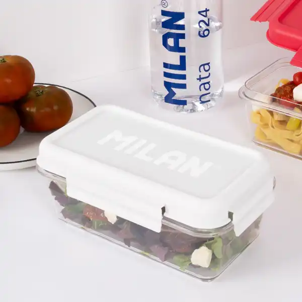 SANDWICHERA FIAMBRERA RECTANGULAR 1,20LT COLECCION 430 SINCE 1918 TAPA BLANCO MILAN 6425120NTW SANDWICHERA FIAMBRERA RECTANGULAR 1,20LT COLECCION 430 SINCE 1918 TAPA BLANCO MILAN 6425120NTW