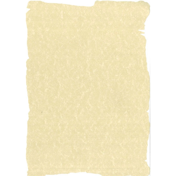 PAPEL TEXTURA PERGAMINO CHAMPAN PRECORTADO 95G 10H A4 APLI SCL2058D PAPEL TEXTURA PERGAMINO CHAMPAN PRECORTADO 95G 10H A4 APLI SCL2058D